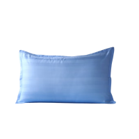 若叶之季 LR-ZT01 48*74cm 酒店公寓40S贡缎蓝色锻条枕套 (计价单位:个)