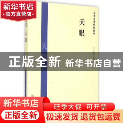 正版 天眼 王少鹏著 群众出版社 9787501452873 书籍
