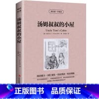 [正版] 读名著学英语 汤姆叔叔的小屋 中英文对照 双语读物 世界名著英汉对照青少年版提高英文阅读能力 语法巩固 书籍