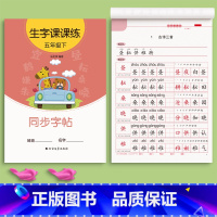 五年级下册(1本46页) [正版]一年级二年级三上册下册同步练字帖临摹字帖练字本语文人教版正楷四五六年级小学生硬笔书法儿