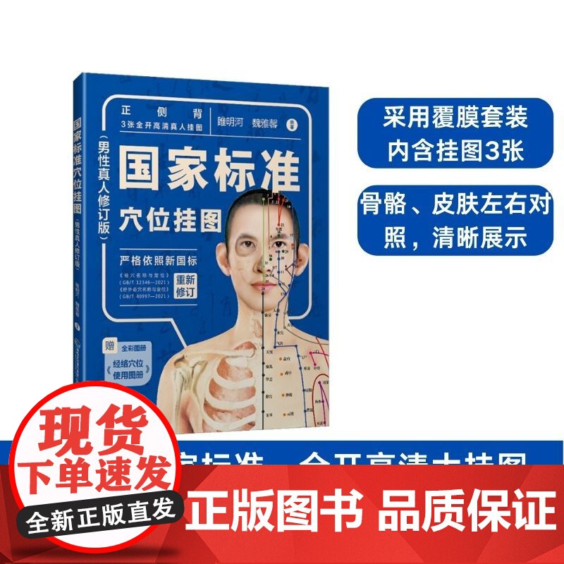 [店]国家标准穴位挂图(男性真人修订版) 中医中药