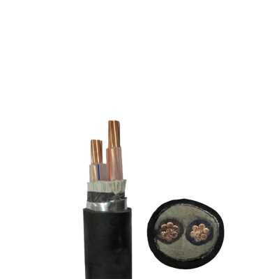 铜芯铠装电力电缆 YJV22 2*300 米