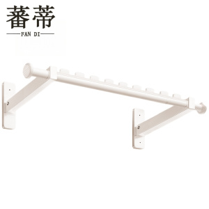 蕃蒂