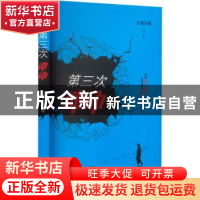 正版 第三次冲动 大爱无痕著 文化发展出版社 9787514229400 书籍
