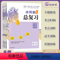 [2023]语文+数学+英语 3册 小学通用 [正版]2023新版木头马小升初名师帮你总复习语文数学英语 小学知识大全考