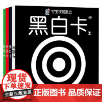 宝宝视觉激发卡 0-2岁 海润阳光 著 幼儿启蒙