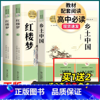[套装3本]红楼梦+乡土中国-南方出版社 [正版]智慧熊名著阅读课程化丛书 谈美书简 高中学生必读课外书 朱光潜著作 畅