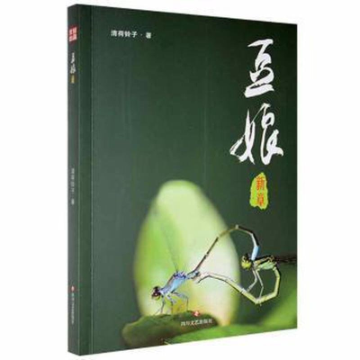 正版新书]豆娘新章清荷铃子9787541130335