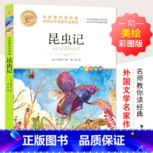 [美绘彩图]昆虫记 [正版]彩图草原上的小木屋 三四五六年级课外书必读老师国际大奖儿童文学经典名著美绘版原著 中小学生课