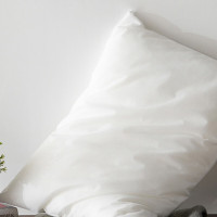 梦洁家纺[团购] 净雅魅香对枕50*70cm