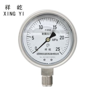 祥屹 不锈钢耐震压力表检测定制型 YTN100BF 块