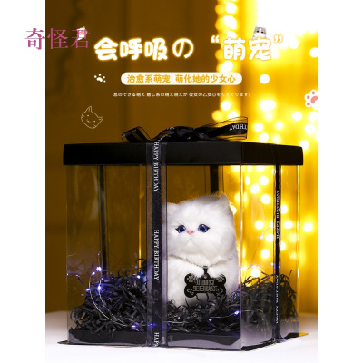 奇怪君生日礼物女礼品送生朋友闺蜜创意走心特别的实用精致中秋节孩