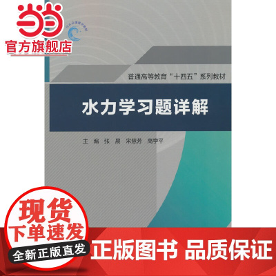 水力学习题详解(普通高等教育“十四五”系列教材)