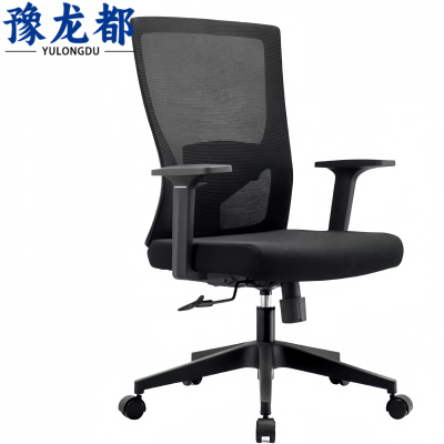 豫龙都人体工学椅转椅A5把