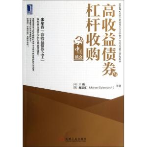 正版新书]高收益债券与杠杆收购(中国机会)王巍//(美)施迈克9787
