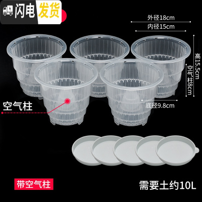 三维工匠美莳控根花盆石斛专用盆 透气 洋兰花盆蝴蝶兰盆塑料花盆创意透明 5只15cm透明带空气柱[含托盘] 小花盆容器