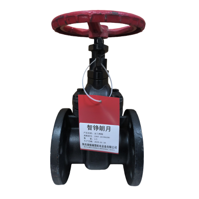 智铮朗月 法兰闸阀 Z45T-16 DN200 个