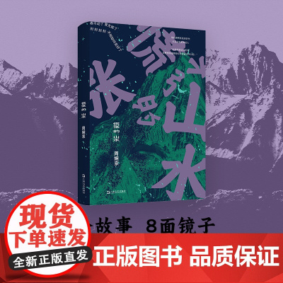 慌张的山水(周婉京新作,慌慌张张匆匆忙忙,在意义坍塌的世界,我们还能找回内心的平静山水吗?) 上海文艺出版社