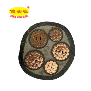 傻实在 电缆国标全项保检 ZC-YJV 3*185mm²+2*95mm² 米