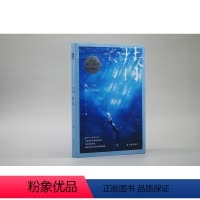 [正版]潜 孙甘露阿乙韩松落一致 新锐作家禹风全新长篇小说 海下七十米的“变形记”听内心深处的私语 译林直发