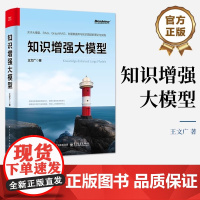 正版 知识增强大模型 RAG入门与实战 大语言模型 多模态Prompt提示词工程RAG检索增强生成技术文档搜索教程书籍