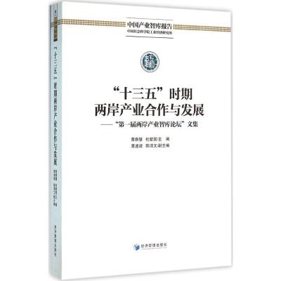 “十三五”时期两岸产业合作与发展