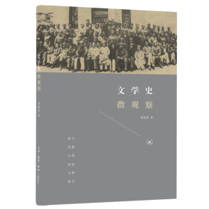 正版新书]文学史微观察李洁非9787108048622
