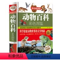 动物百科 [正版]彩图精装动物百科彩色图鉴 6-12岁科普读物青少年小学生科学课外读物书籍动物百科全书大全集图书动物世界