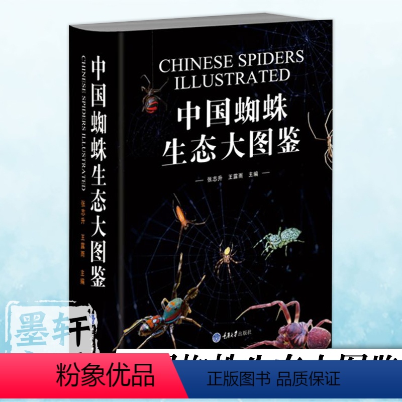 [正版]图书 中国蜘蛛生态大图鉴 张志升著 重庆大学科普图鉴书籍 记述各种蜘蛛物种分类 形态特征 生活习性 生存环境等