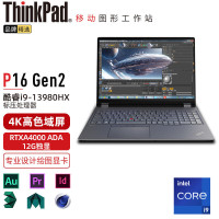 联想笔记本电脑ThinkPad P16 (0CCD) 英特尔酷睿i9 16英寸高性能轻薄设计师工作站 定制i9-13980HX 64G 2TB RTXA4000 12G 4K超清