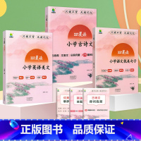 语文优美句子+英语美文+小学古诗文[3册] 小学通用 [正版]337晨读法优美句子积累大全小学生一二三年级四五六年级好词