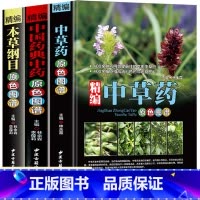[正版]全3册精编中草药+本草纲目+中国药典中药原色图谱 中草药全图鉴速查手册图谱中国药材图鉴大全常用中草药识别应用中医