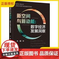 2025新书 新空间与新动能 数字经济发展洞察 王星 数字经济发展 数字技术赋能传统经济转型升级参考书籍 电子工业出版社