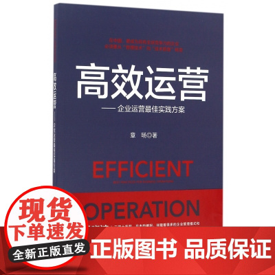 高效运营--企业运营最佳实践方案