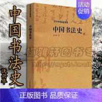 [正版]中国书法史沃兴华书法发展历史理论入门知识研究专著规律见解古历代甲骨金篆草楷行体字帖学碑帖学精品演变过程经典教程材