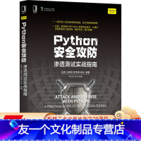 [友一个正版] Python安全攻防 渗透测试实战指南 吴涛 方嘉明 吴荣德 徐焱 网络空间技术编程设计 机械工业