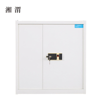 湘渭保险柜铁皮资料柜矮柜办公室储物柜单节白色指纹锁900*420*900