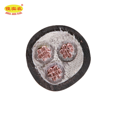 傻实在 电缆 国标全项保检 YJV 3*10mm² 米