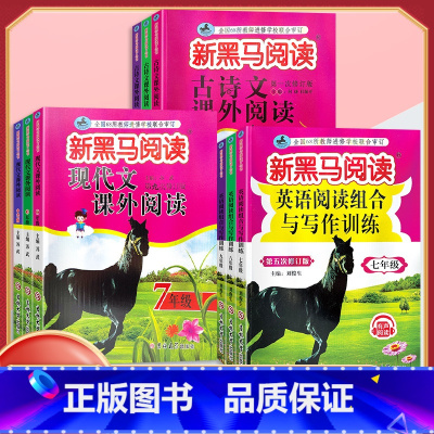 古诗文阅读 七年级/初中一年级 [正版]2024新版新黑马阅读 现代文课外阅读 初中七7八8九9年级上下册通用 初中语文