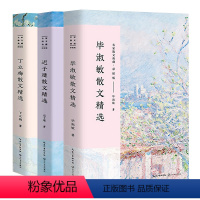 [正版]毕淑敏+迟子建+丁立梅散文精选 名家散文典藏彩插版现当代散文随笔小说作品集 现当代文学毕淑敏的书散文集