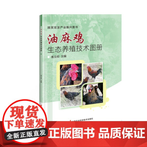 油麻鸡生态养殖技术图册