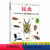 大自然博物馆·百科珍藏图鉴系列--昆虫 [正版]昆虫 200种昆虫彩色图鉴识别鉴赏 大自然博物馆百科珍藏图鉴系列 中小学