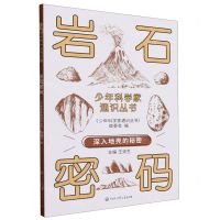 [N]岩石密码/少年科学家通识丛书-9787520213806