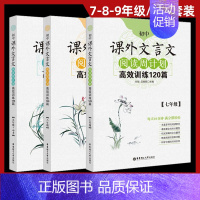 七八九年级文言文 全3册 初中通用 [正版]初中课外文言文阅读周计划高效训练120篇现代文阅读周计划高效训练100篇七八