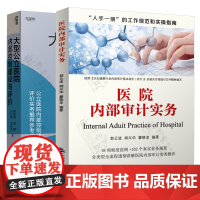 医院内部审计实务 郭云波+大型公立医院内部控制建设与评价 从目标管理走向流程管理 张庆龙 公立医院内部控制体系建设指引书