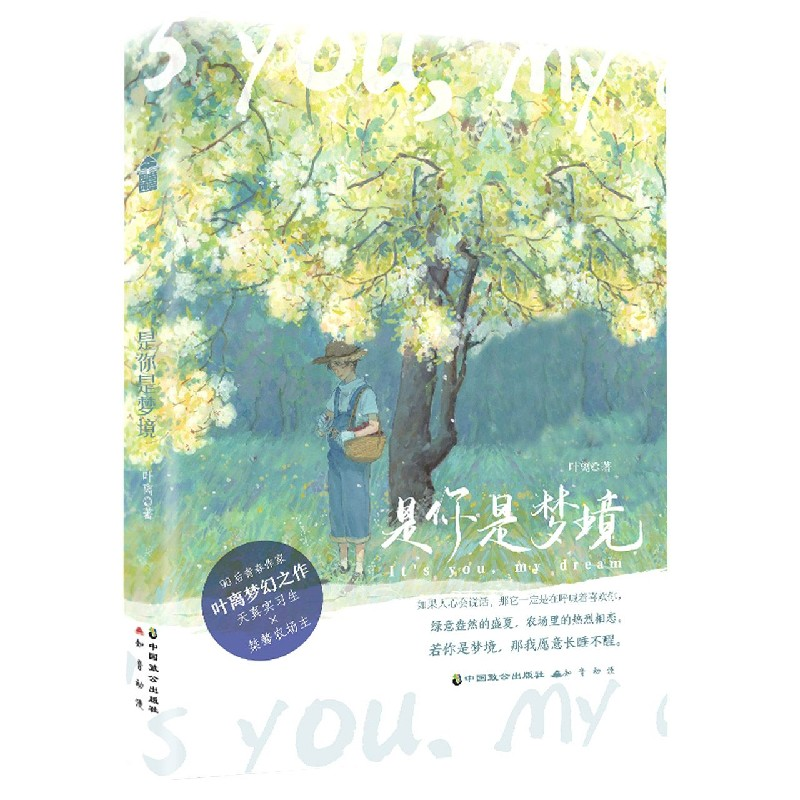 音像是你是梦境叶离