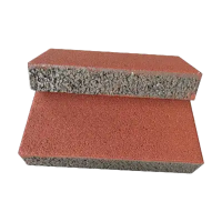 泽奋 透水砖 200*100*60mm 块