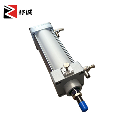 杼诚气缸双活塞QGSHCC100B210-/个