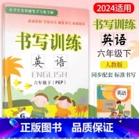 [正版]小学书写训练英语6六年级下册人教版PEP字帖六年级下册英语书写训练硬笔手写体字帖描摹本英语同步书写练习册云南科