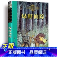 绿野仙踪 [正版]绿野仙踪 张晓璐译 天天读经典 世界儿童文学名著精读本 绿野仙踪原版三年级必阅读七年级课外书籍语文阅读